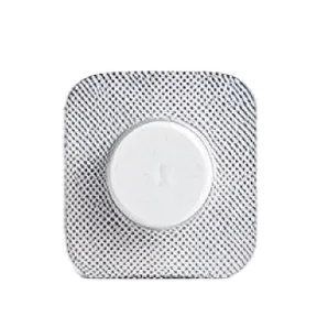 Rapid Disintegrating Tablets